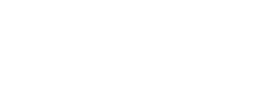 Yellow Slice Logo white