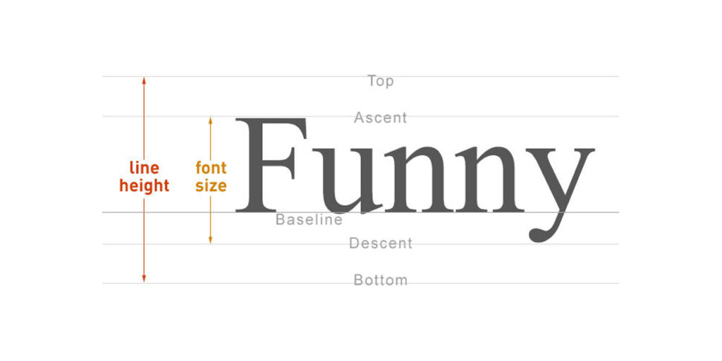 Typography font weight height and size
