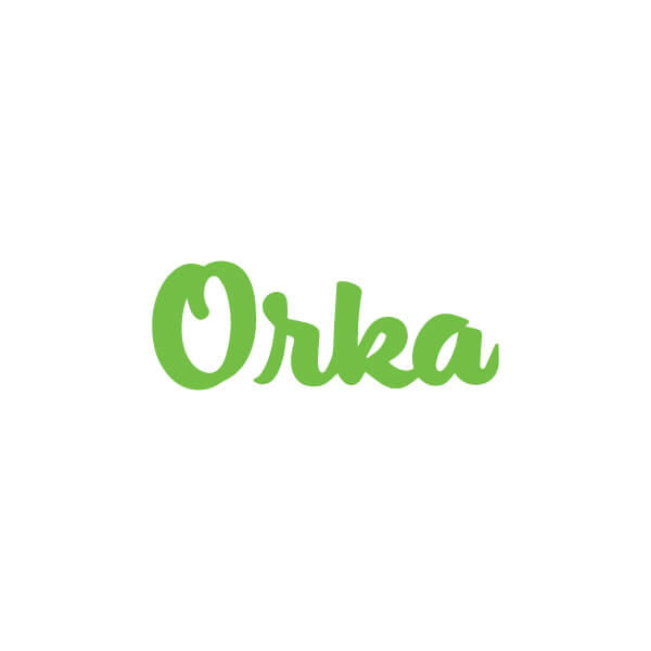 About the Logo Design of Orka Design